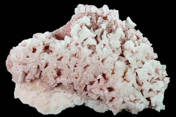 Pink Halite Crystal Plate - Trona, California #133603